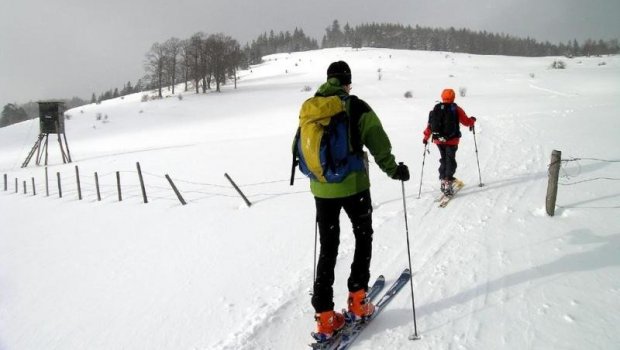 Na začátku vrcholové louky (Autor: Csaba Szépfalusi, Zdroj: www.bergundkarte.at) Hlavní foto článku