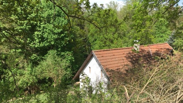 Žijeme v chaloupce na samotě Hlavní foto článku