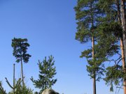 Foto z galerie