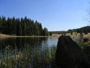 Foto z galerie