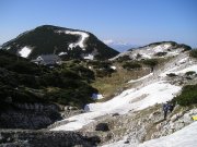 Foto z galerie