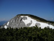 Foto z galerie