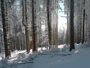 Foto z galerie