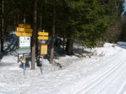 Foto z galerie