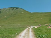 Foto z galerie