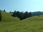 Foto z galerie