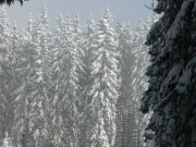 Foto z galerie