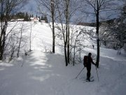 Foto z galerie