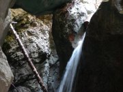 Foto z galerie