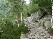 Foto z galerie