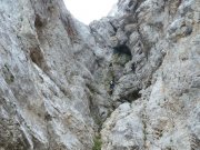 Foto z galerie