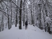 Foto z galerie