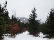 Foto z galerie