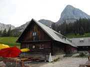 Foto z galerie